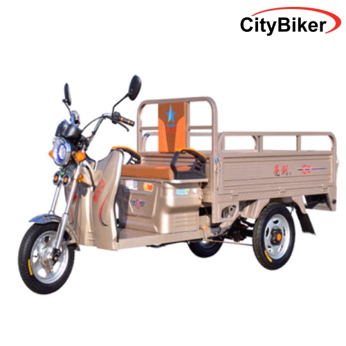 **Repuesto Triciclo electrico de carga 800W 500BA-1.5 of1M (sin