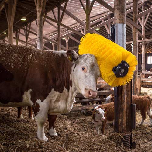 5 Comfort brush para vacas ganaderia ganado bovinos cepillo rot - Haga un click en la imagen para cerrar