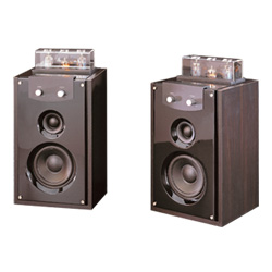 **KOR K2 Parlantes Amplificador a Tubos valvula 2x10W Caj (Vitr